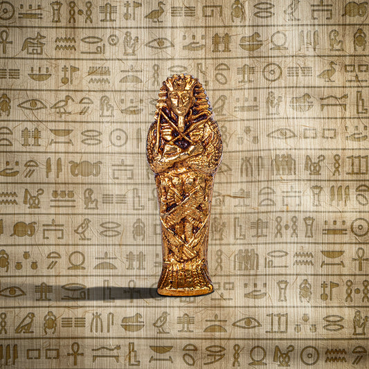 Coffin With Mummy Inside