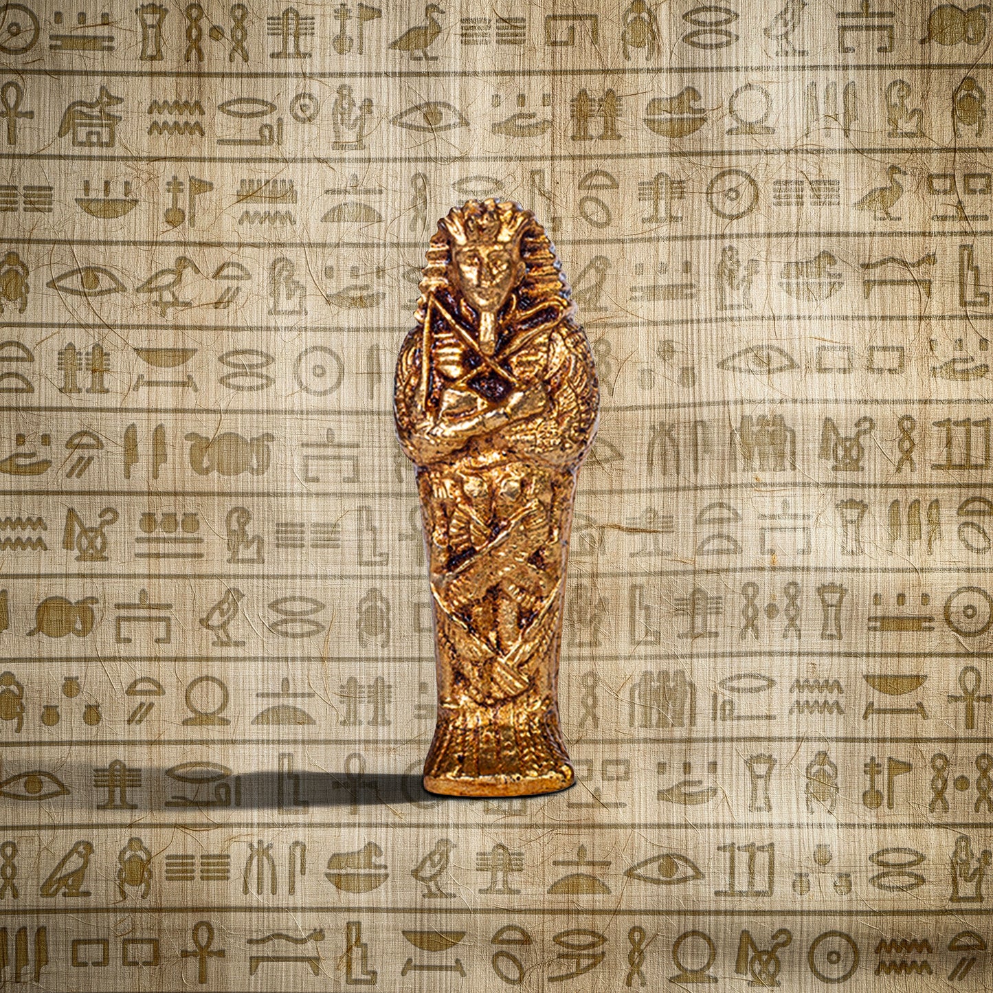 Coffin With Mummy Inside